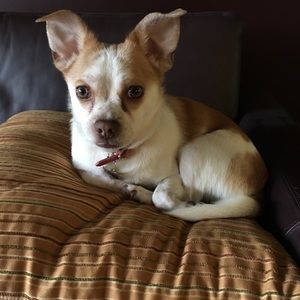 Meet your Posher, Suzanne